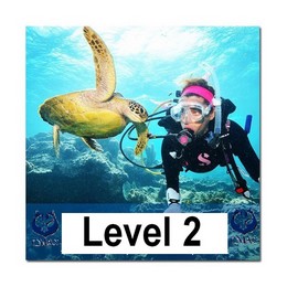Level 2 course training Level 2 course training