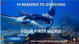 10 reasons to start diving to become a diving instructor with Thailand Diving pattaya 10 reasons to start diving to become a diving instructor with Thailand Diving pattaya